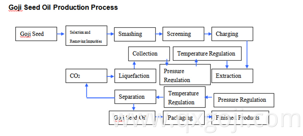 Prodtction Process Of Goji Seed Oil